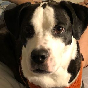 Meet your Posher, Esther